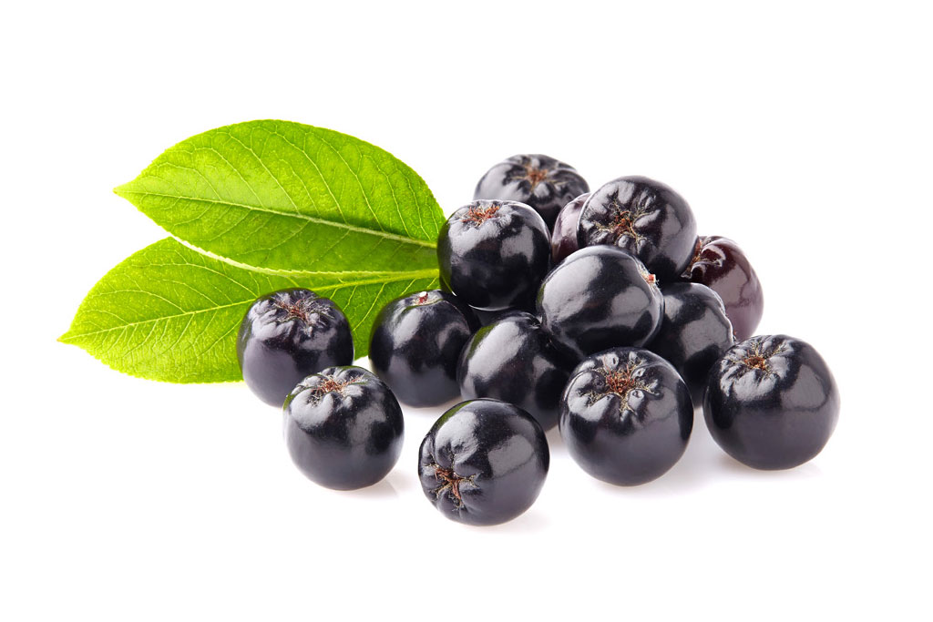 10 Best Berries Rich in Nutrients and Protein